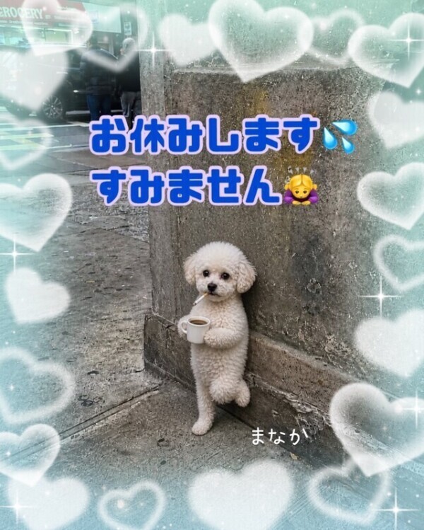 お休みします💦💦💦