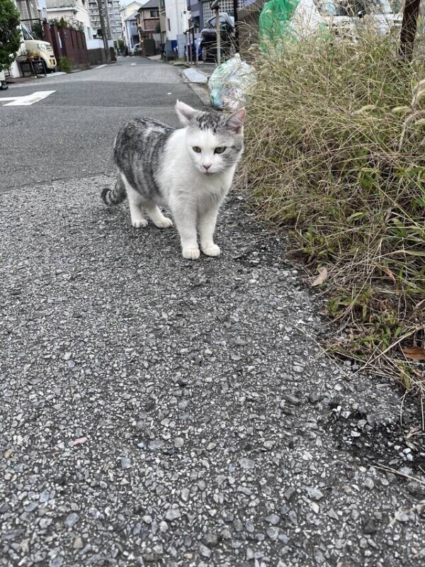 出勤します〜