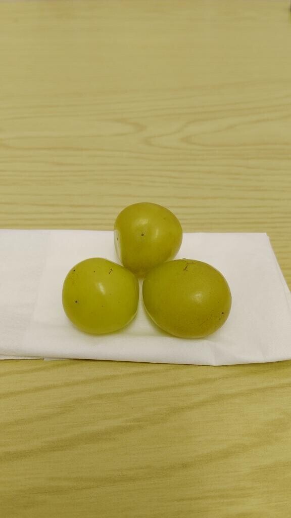 オキニトークからのお兄さん?