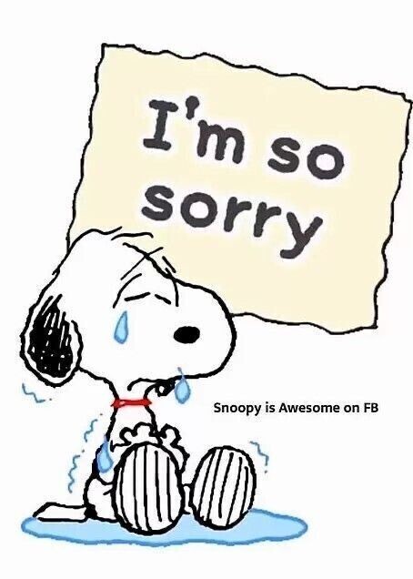 お休み致します。ごめんなさい😭