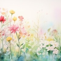 はく