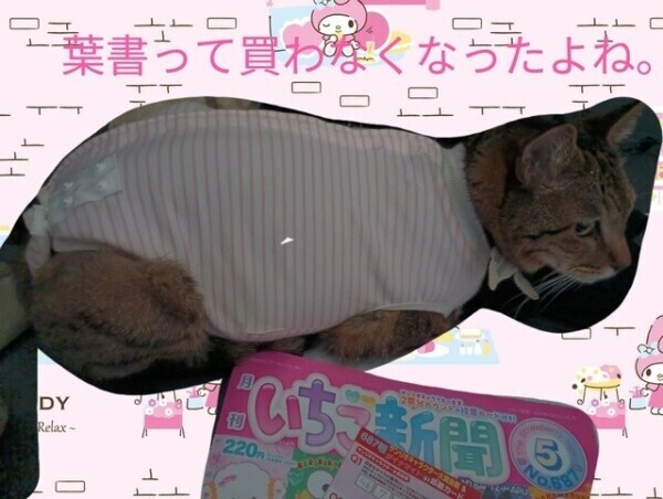 いちご新聞投票。