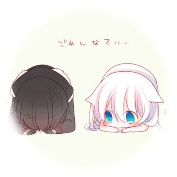 本日