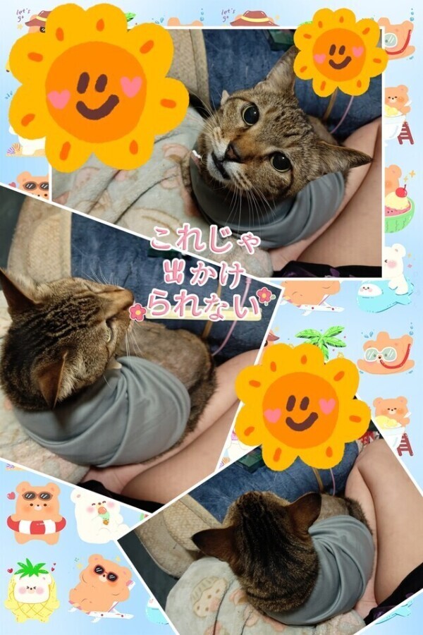 何とか家を出ました💦