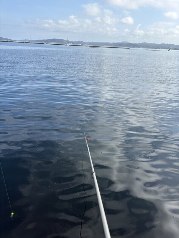🪣🎣