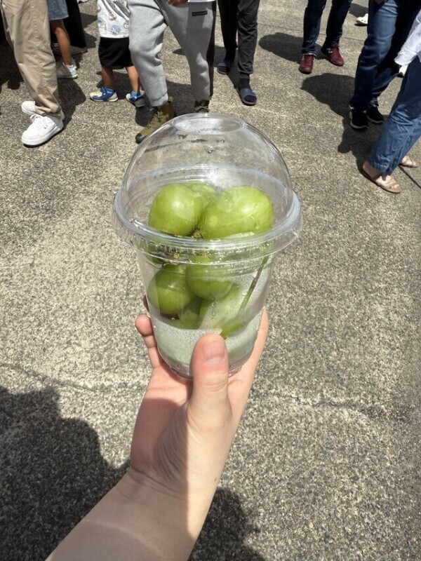おはよ〜出勤日だよっ！