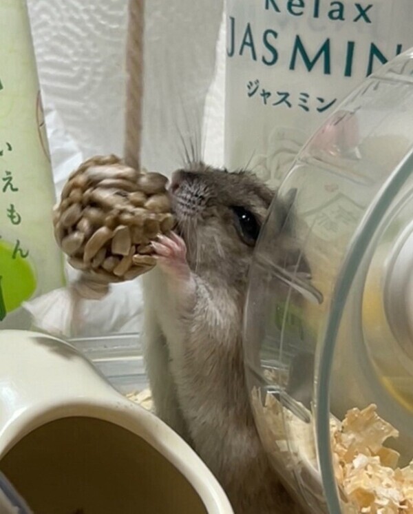 大好きなのは〜♪