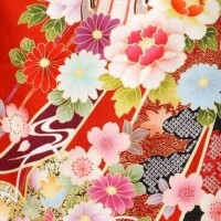 みほの