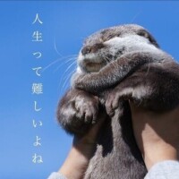 みほの