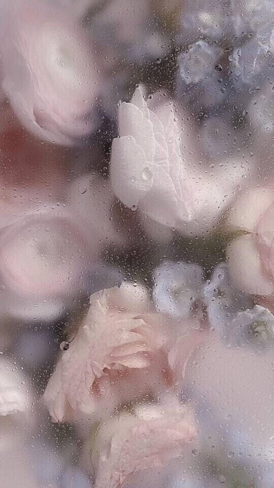 お休み