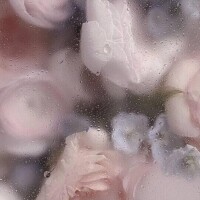 はく