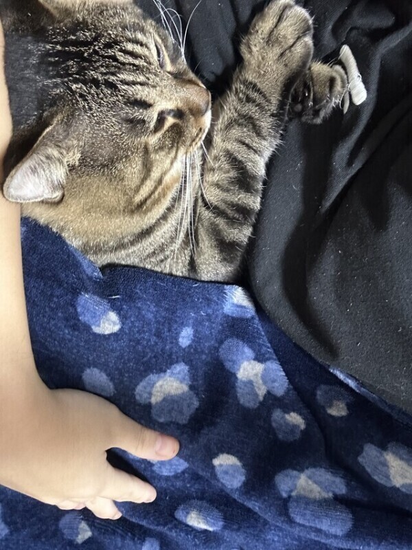 今日おやすみします(-_-)zzz