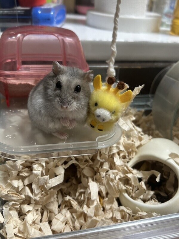 上手い具合に📸