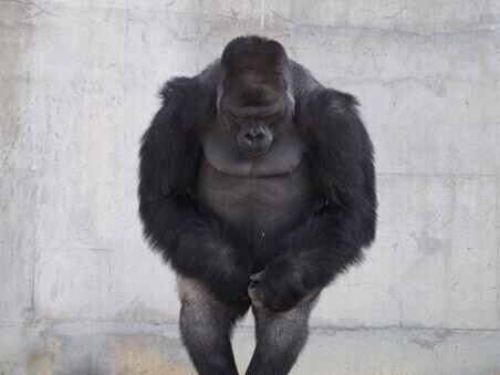 ごめんなさい🙇‍♀️