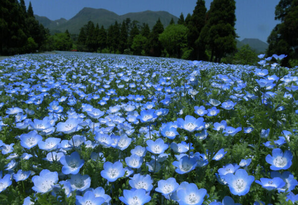 やらかしちゃいました