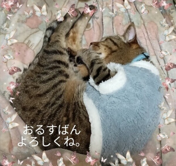 そろそろ向かいます。