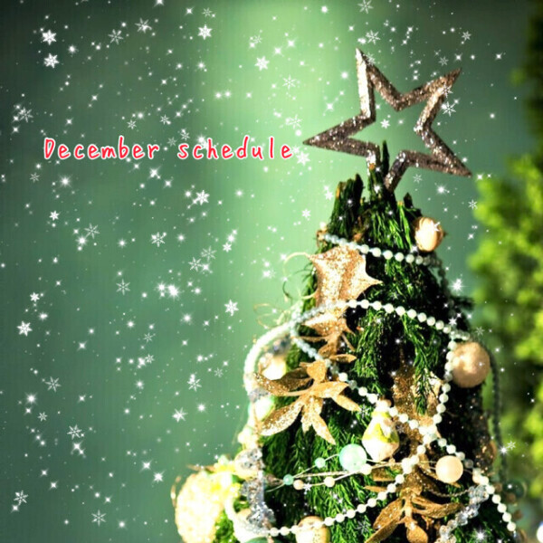 December schedule🌲