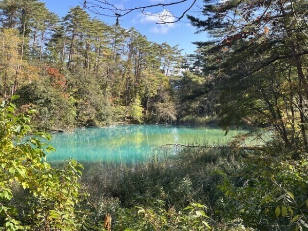 お久しぶりです…！