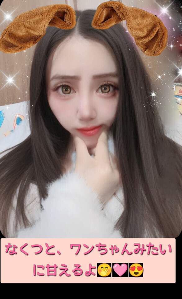 ✨🌼ワンちゃん🌼✨