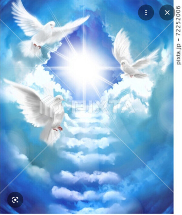 申し訳ありません。