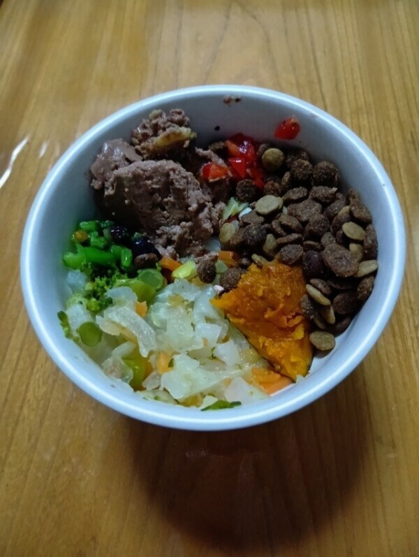 犬ご飯