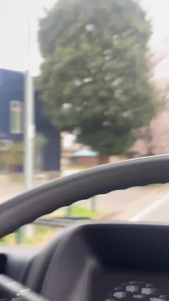 🩷✨桜の動画だよー😊✨✨🩷音注意⚠️💦