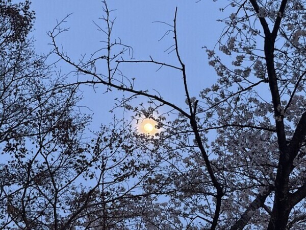 不安とドキドキ🌸