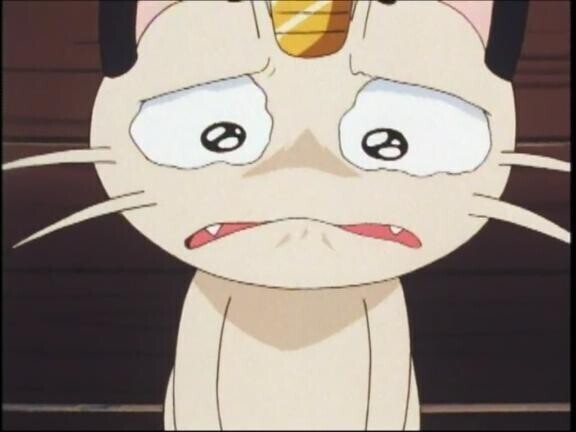 ごめんなさい（；_；）
