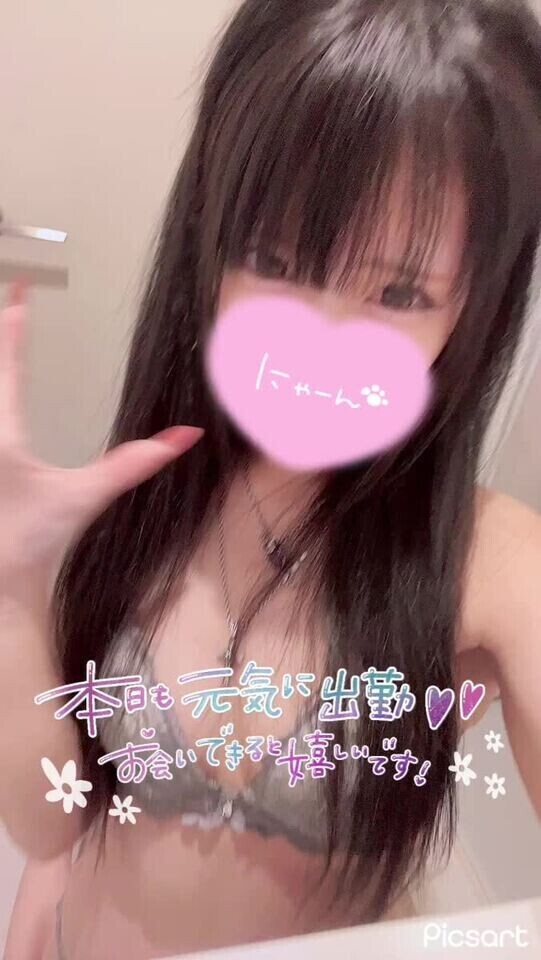 おはよ🐱