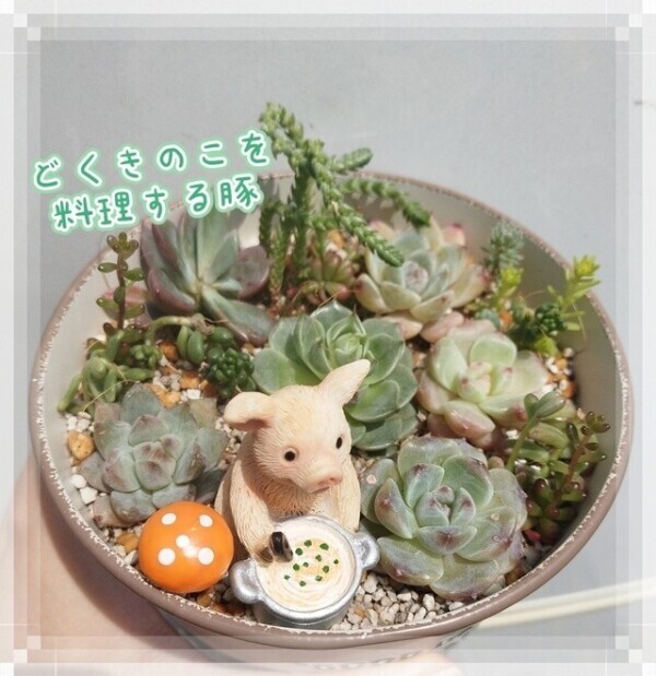 ごめんなさい🙏