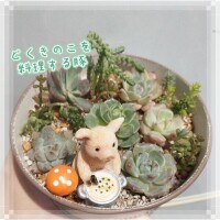 はく