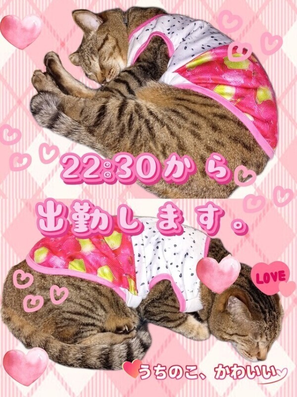 金曜日！出勤！