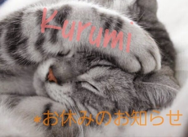 😿