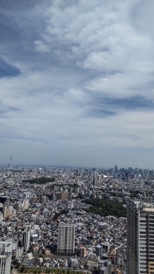 やっぱり人混みは疲れるね💦