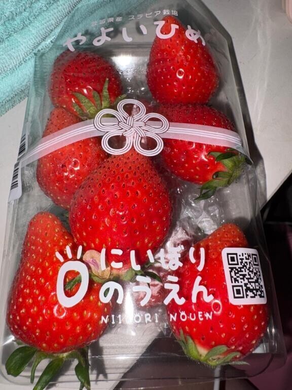 救世主降臨