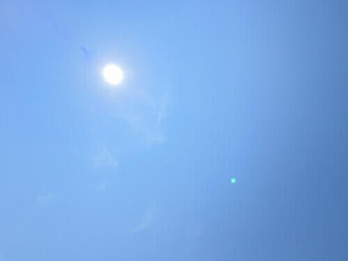 あのね！実は…