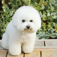 くみ