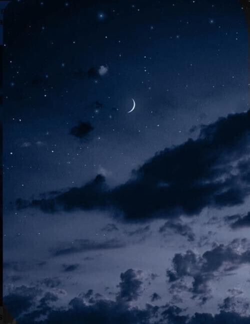 こんばんは🌙*ﾟ