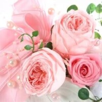 お返事です*°No.570←戻りました笑