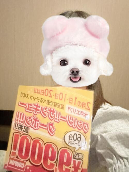 出勤してるよ〜