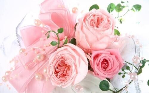 お返事です*°No.581