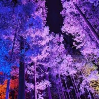 幸せチャージ日🤍