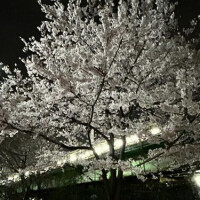 また明日から！