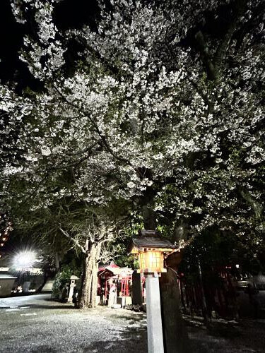 今日も出勤！