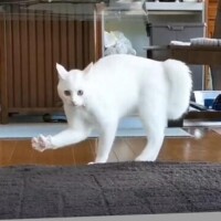 くみ