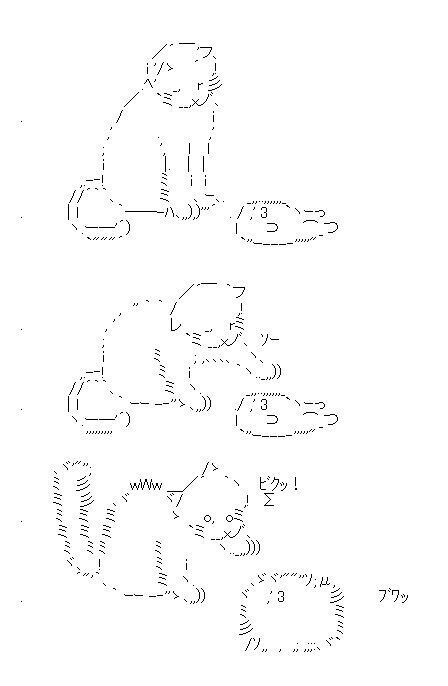 NoTitle