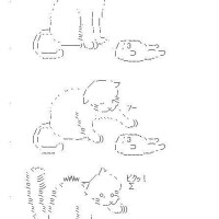 NoTitle