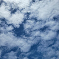 20日のお礼