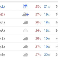 会いにきてくださると嬉しいです😌
