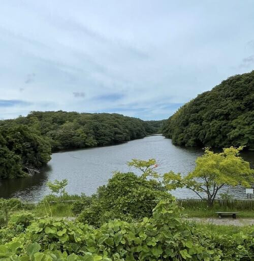 ご予約ありがとうとご来店ありがとう